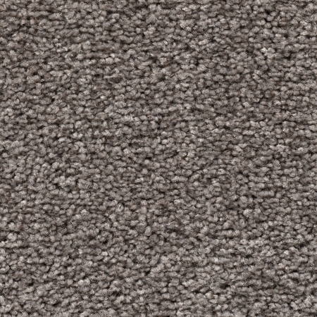 Frisé - Modesta - 007